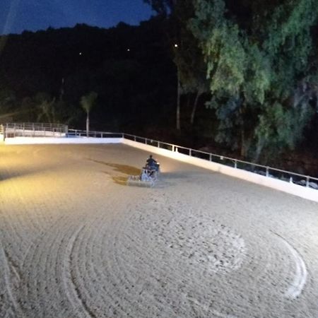 Riyadh House Marbellaアパートメント エクステリア 写真